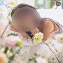 가성비 플라워디렉팅 라이크유플라워 웨딩촬영 비동행 30만원대 내돈내산 계약후기