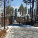 도담동(도램마을)/도램마을아파트 버스정류장 이미지