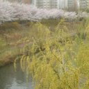 율현중학교 이미지