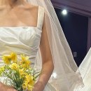 [청주 컬러아지트] 청주 웨딩컨설팅 + 퍼스널컬러 진단 후기