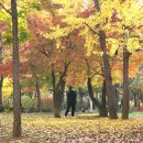 부평공원3 이미지