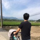 세븐일레븐영천동길점 이미지