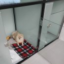 용이네놀이터