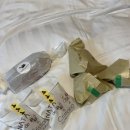 태교여행]하라주쿠 빵투어 빵지순례 추천 빵집, 빵...에스프레소, 나타 데 크리스티아노 웨이팅, 365일)