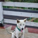 가의도펜션(민박) 이미지