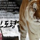 용신34 이미지