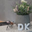 닥터김DK의원 티스토리