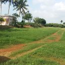 남평농장 이미지