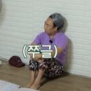 W3-2. 제주도 웨딩스냅 헤메+동행 헬퍼 업체 제주유일, 라르아, 로브유 문의 및 계약후기