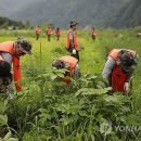 화천종합가스