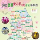 산림청, 2025년 봄철 꽃나무 개화 예측 발표… 개화 시기 지난해보다 다소 늦어질 전망 이미지