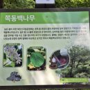 도봉사 치성광여래삼존도 이미지