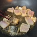 마시따 이미지