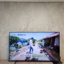 31140-6-85-8 | 동탄금강펜테리움6차센트럴파크 85인치 무타공벽걸이TV 시공후기