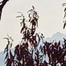 사근절길 이미지