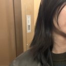 엔젤 | [평택미용실] 르무이헤어룸 본점 오가닉 클리닉으로 엔젤링 보고 온후기