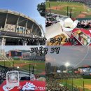 중앙-3 | 부산 사직야구장 롯데 vs 두산 직관 후기 중앙탁자석 34블럭 3열 시야, 먹거리 추천