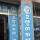 아이캣 | 익산, 군산, 김제, 정읍, 키즈카페 고양이카페 [아이캣유] 방문후기