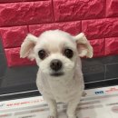 한우리동물병원 이미지