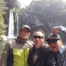 천지연 폭포 이미지