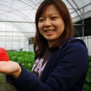 재삼농장 이미지