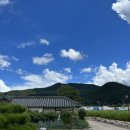 백일홍스테이 이미지