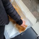 와우종합동물병원 이미지