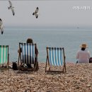이레스테이 네이버블로그