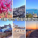 해동회타운 | 부산 3월 가볼만한 곳 혼자 당일치기여행코스