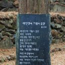 [대전 장태산 자연휴양림]-메타세콰이아 숲 이미지