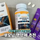 부모님 영양제 추천! 지엔네이쳐 뮤코다당단백 콘드로이친 프리미엄 솔직 후기