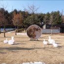달토끼24 이미지