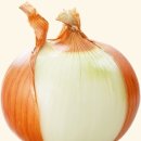 토마토광고 이미지