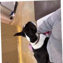 다온동물병원 이미지