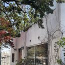 그대가사는시간 | 제주 서귀포 조용한 감성 북카페 그대가사는시간