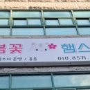 전주 햄스터 이미지