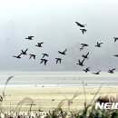 고니축산 이미지