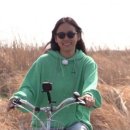 봄봄네 민박 이미지