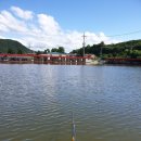 호저낚시터 이미지