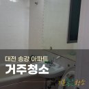 오정로 | 대전 송강 아파트 거주청소, 곰팡이·먼지 완벽 제거 후기!