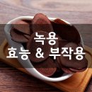 (주)하스프 | 녹용 (Deer Antler Velvet, 사슴뿔) 효능, 부작용, 권장량, 제품 순위