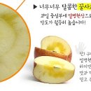 금풍농원