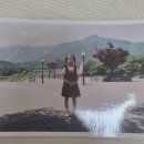 예준코 | 청첩장 모임 기간에 다이어트는 힘들다