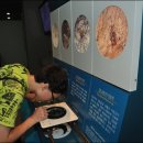 영월동굴생태관 이미지