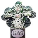 이화성 이미지