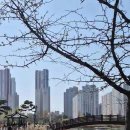 한강신도시 호수공원 이미지