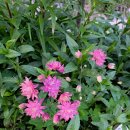 승희농장 이미지