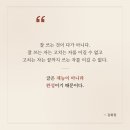 서심 | 출간 아카데미 작가양성과정 8주 차! 서평 쓰는 독서 모임 <백작 서심> 후기 20260825(화) 오후 8시 30분~