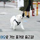 (주)펫앤바이오 이미지