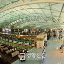 모아국제여행사